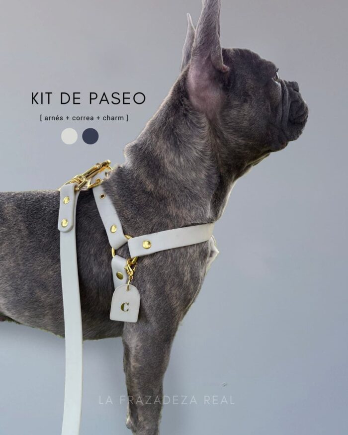 kit de paseo arnes y correa de perro