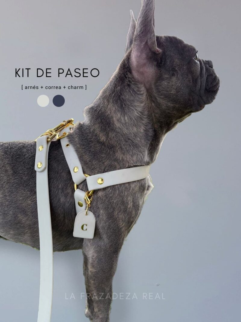 kit de paseo arnes y correa de perro